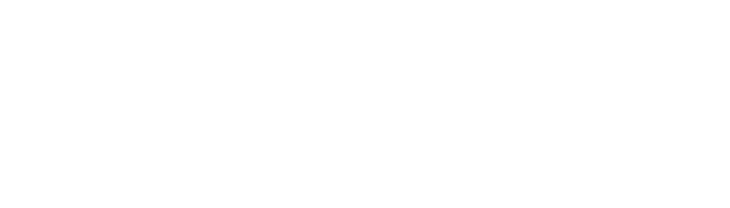 Softintegra